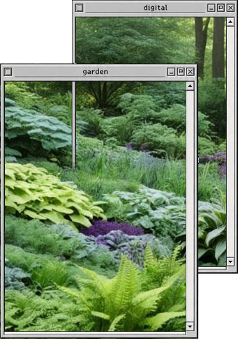 digital garden entrance